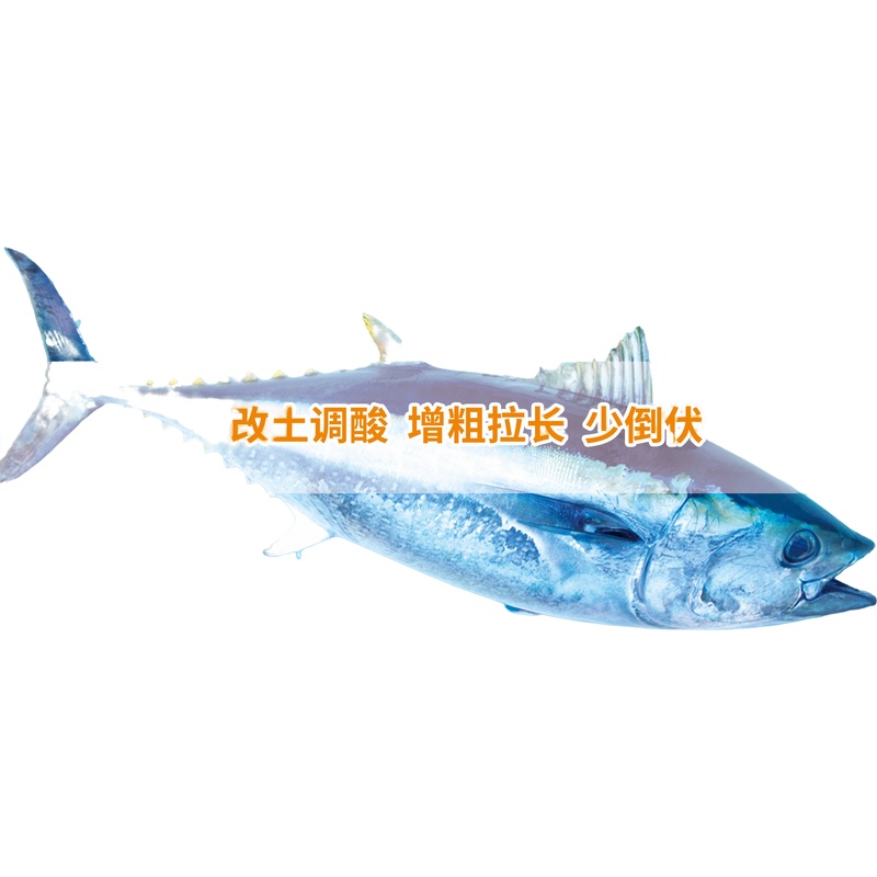 开海红产品图